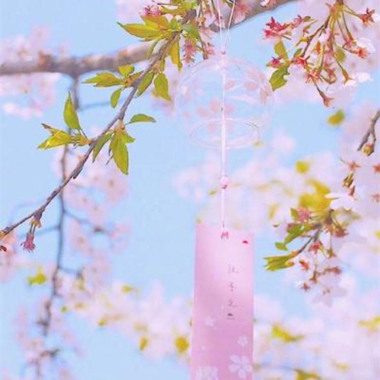 神谷道场（神谷熏主持的道场、剑心寄宿处） - 无码高清资源在线观看 - 网页观影